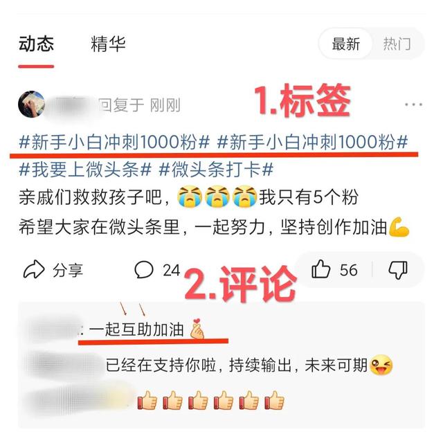 图片[3]-yy直播怎么涨粉（直播要怎么自己涨粉）-千图副业网