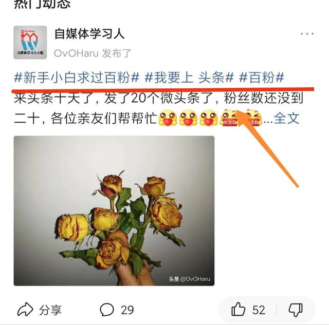 图片[5]-yy直播怎么涨粉（直播要怎么自己涨粉）-千图副业网