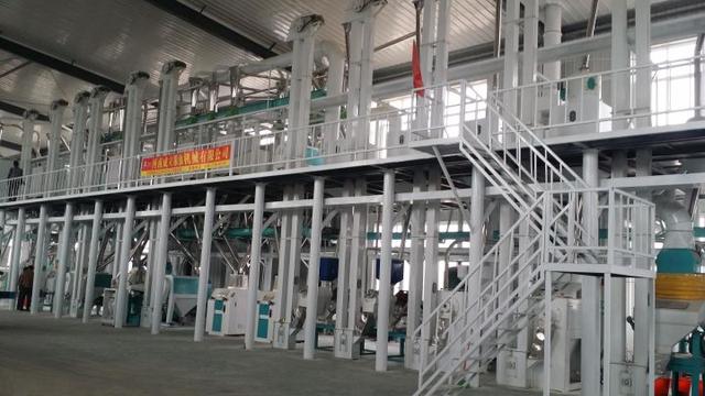 五十吨玉米深加工项目赚钱吗？小型玉米深加工项目有哪些？-千图副业网