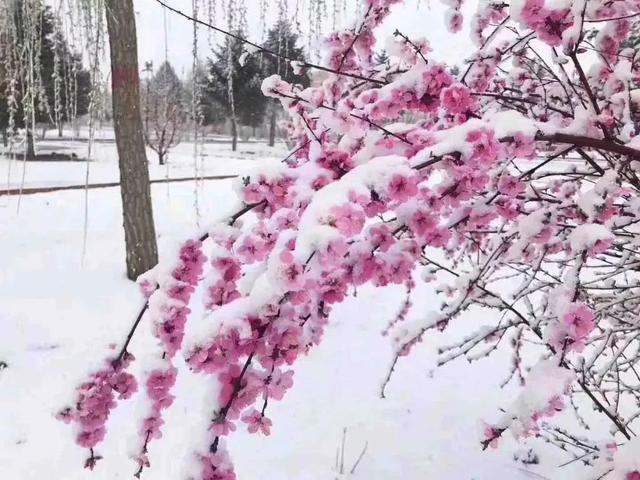 图片[2]-适合普通人做的几个小本生意-千图副业网