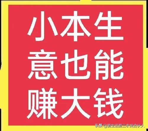 2022年投资小利润高的小生意，失业后做什么小本生意好-千图副业网