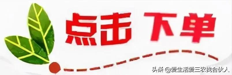 图片[9]-2022年投资小利润高的小生意，失业后做什么小本生意好-千图副业网