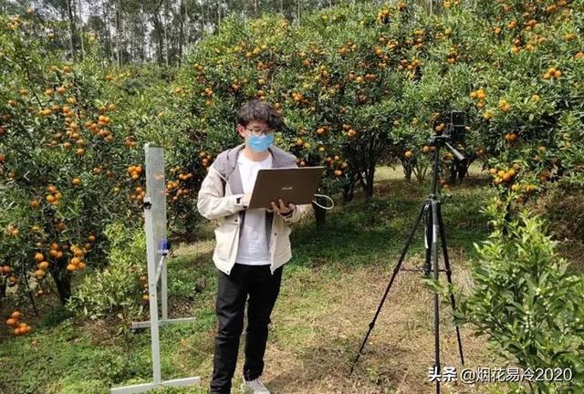 比较赚钱的生态农业项目有哪些-千图副业网