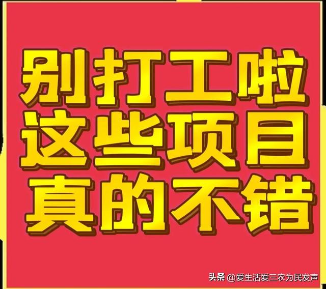 比打工强的小生意，农村小项目有哪些-千图副业网