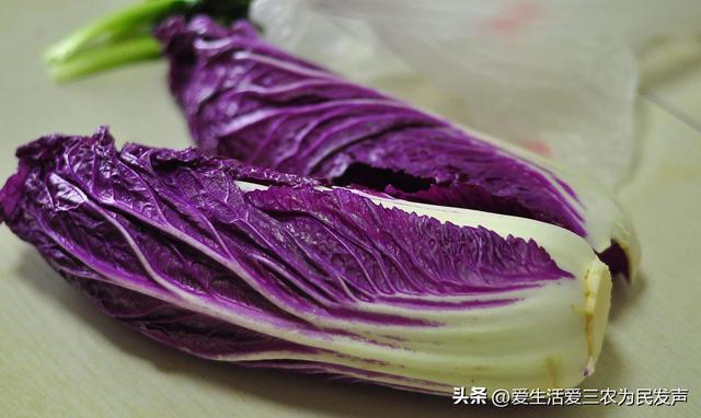 图片[9]-比打工强的小生意，农村小项目有哪些-千图副业网