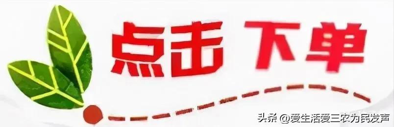 图片[10]-比打工强的小生意，农村小项目有哪些-千图副业网