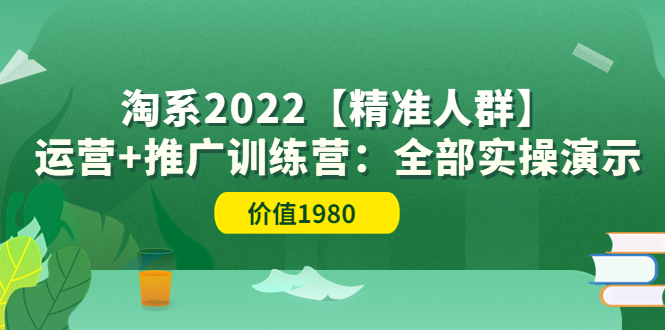 【副业项目3941期】淘系2022【精准人群】运营+推广训练营：全部实操演示-千图副业网