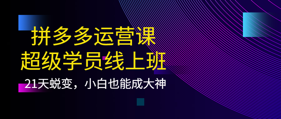 【副业项目4260期】拼多多运营课：超级学员线上班，21天蜕变，小白也能成大神-千图副业网