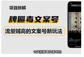 【副业项目4912期】2023抖音快手毒文案新玩法，牌匾文案号，起号快易变现-千图副业网