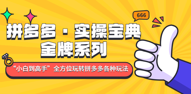 【副业项目5130期】拼多多·实操宝典：金牌系列“小白到高手”带你全方位玩转拼多多各种玩法-千图副业网