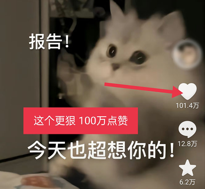 图片[4]-【副业项目5588期】黑科技纯原创可爱猫咪图片，全网精准引流，实操5个VX号被加频繁-千图副业网
