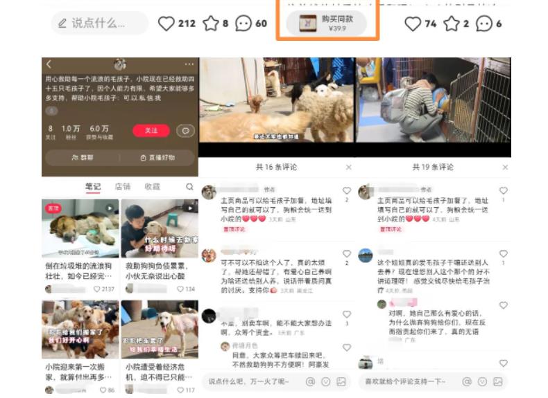 【副业项目5898期】小红书蓝海类赛道：小动物打赏与购买变现副业项目，一条龙玩法分享给你！-千图副业网
