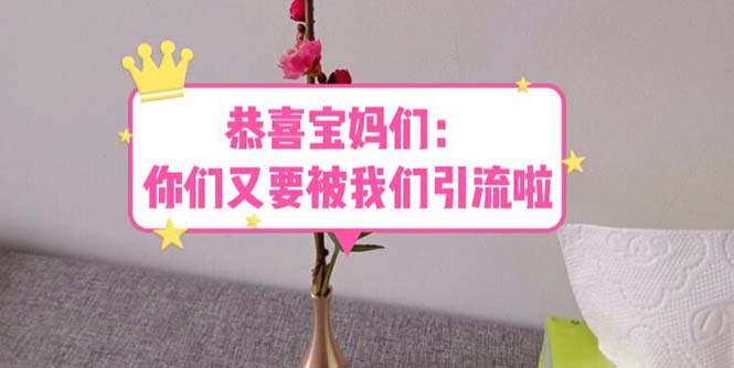 【副业项目5918期】恭喜宝妈们：你们又要被我们引流了（教程+222g资料）-千图副业网
