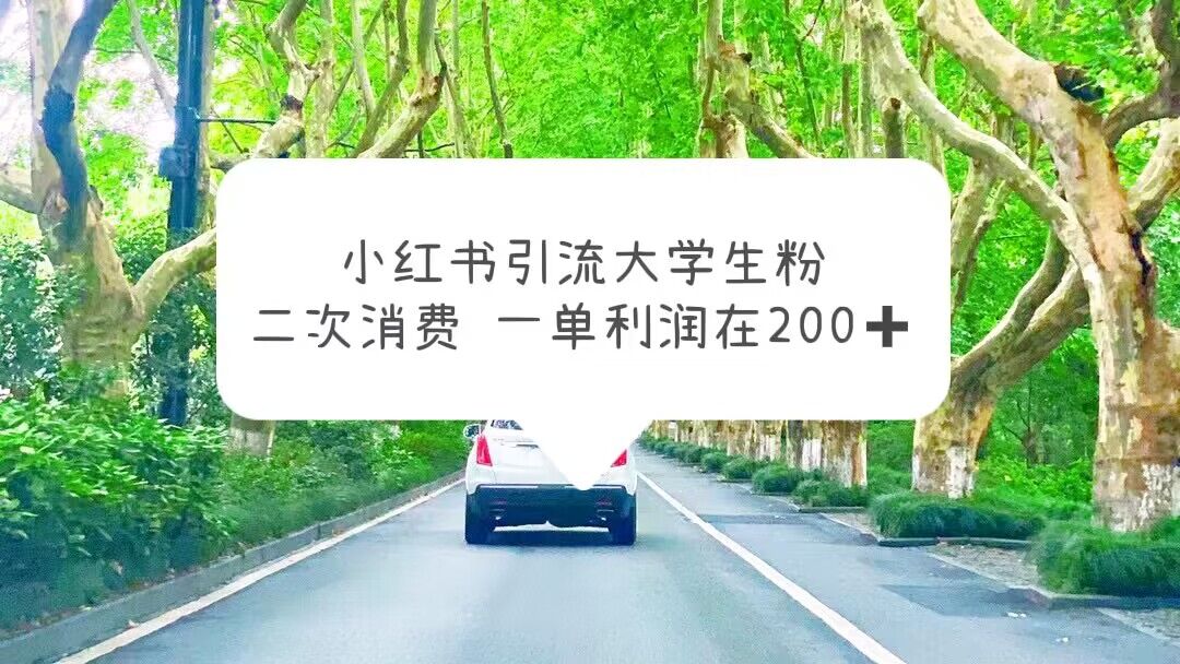 【副业项目5937期】小红书引流大学生粉，变现项目，一单利润在200+（教程+资源）-千图副业网