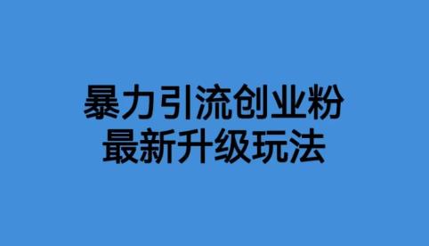 【副业项目6372期】价值1980一千个野路子暴力引流最新升级玩法【揭秘】-千图副业网