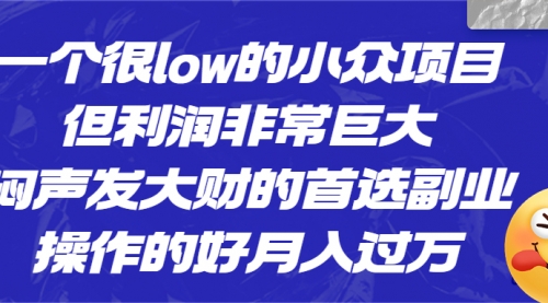 【副业项目6782期】一个很low的小众项目，但利润非常巨大，闷声发大财的首选副业，月入过万-千图副业网