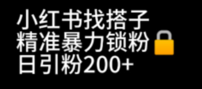 【副业项目7040期】小红书找搭子暴力精准锁粉+引流日引200+精准粉-千图副业网