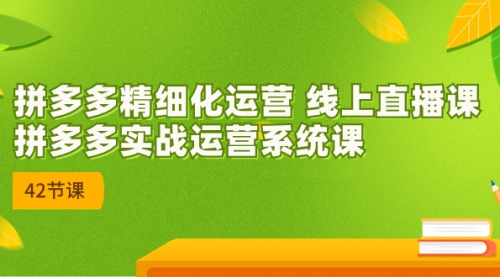 【副业项目7292期】2023年新课-拼多多精细化运营-千图副业网