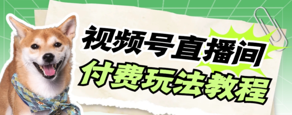 【副业项目7973期】视频号美女付费无人直播，轻松日入500+-千图副业网