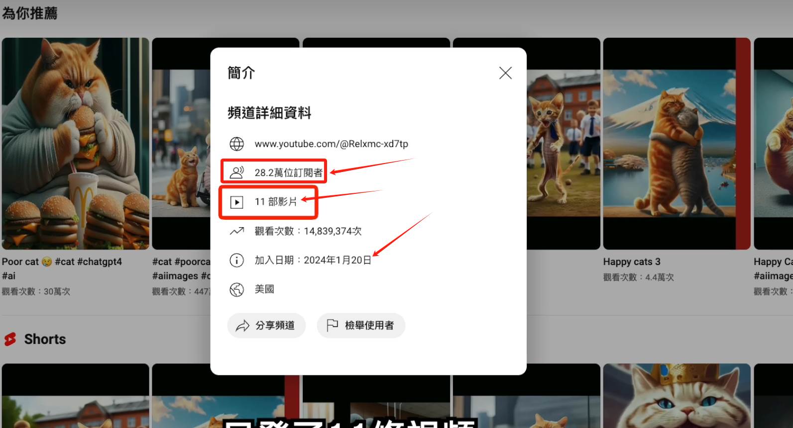 图片[2]-AI貓咪剧情号，30天涨粉100w，制作简单，一个视频全网分发，轻松月入1W+-千图副业网