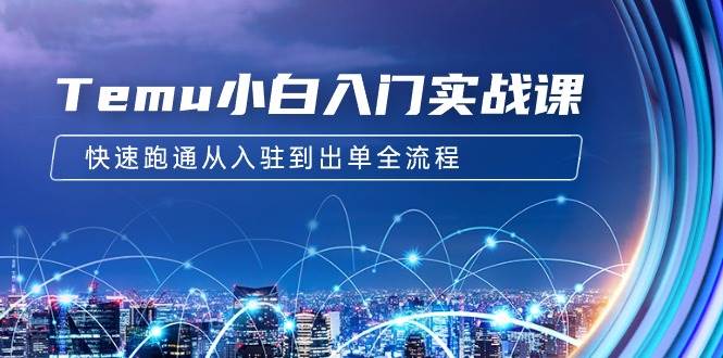 Temu小白入门实战课：跨境拼多多电商培训 快速跑通从入驻到出单全流程-12节-千图副业网