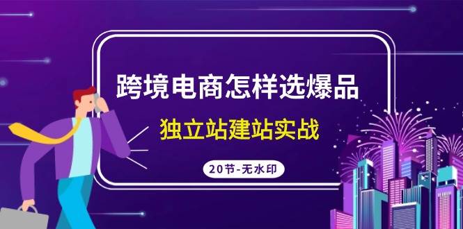 跨境电商怎样选爆品，独立站建站实战（20节高清无水印课）-千图副业网