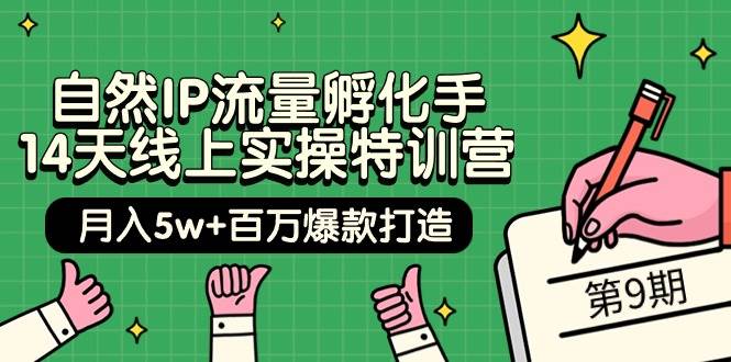 自然IP流量孵化手 14天线上实操特训营【第9期】月入5w+百万爆款打造 (74节)-千图副业网