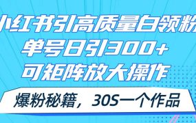 小红书引高质量白领粉，单号日引300+，可放大操作，爆粉秘籍！30s一个作品-千图副业网