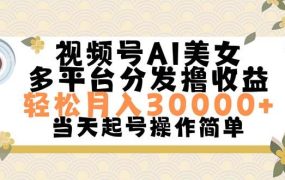 视频号AI美女，轻松月入30000+,操作简单轻松上手-千图副业网