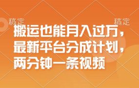 搬运也能月入过万,最新平台分成计划,一万播放一百米,一分钟一个作品-千图副业网