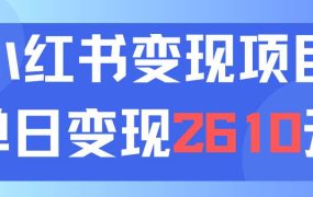 利用小红书卖资料单日引流150人当日变现2610元小白可实操（教程+资料）-千图副业网