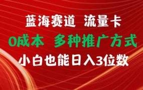 蓝海赛道 流量卡 0成本 小白也能日入三位数-千图副业网