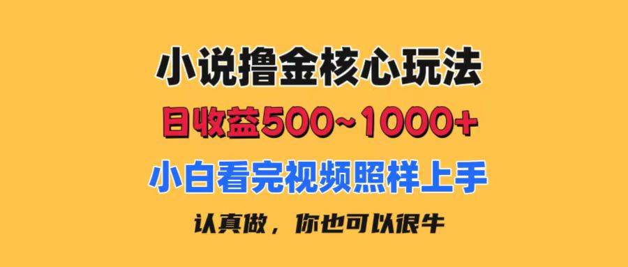 小说撸金核心玩法，日收益500-1000+，小白看完照样上手，0成本有手就行-千图副业网