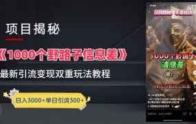 抖音一千个野路子信息差最新玩法教程-变现＋引流的玩法具体拆解-千图副业网