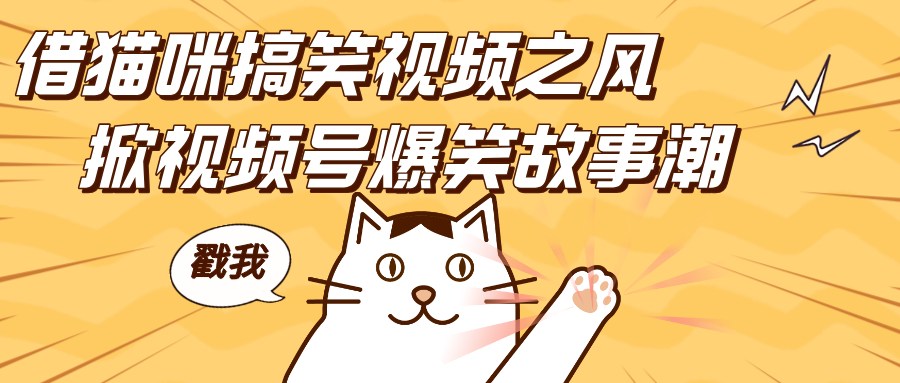 借猫咪搞笑视频之风，掀视频号爆笑故事潮，轻松日赚四位数，开启无门槛赚钱新体验！-千图副业网