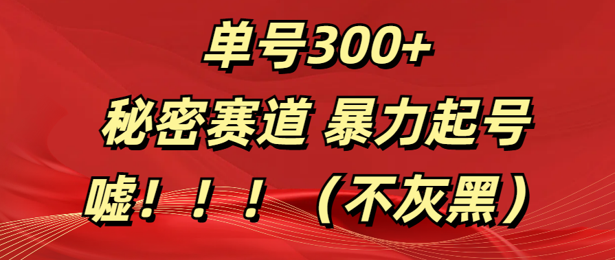 单号300+  秘密赛道 暴力起号  （不灰黑）-千图副业网