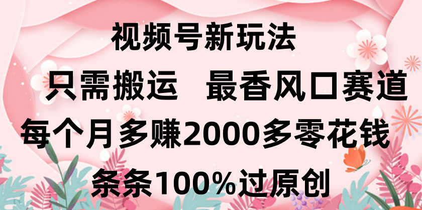 日入2000+，条条100%过原创，视频号最香风口赛道，小白轻松上手-千图副业网