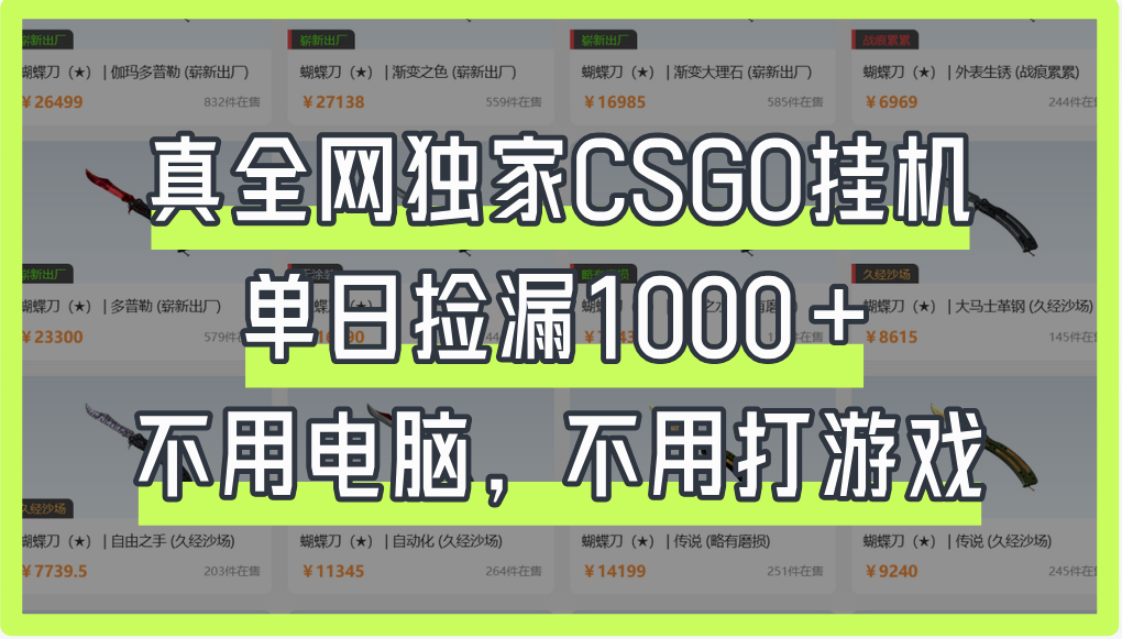 真全网独家CSGO挂机，单日捡漏1000+-千图副业网