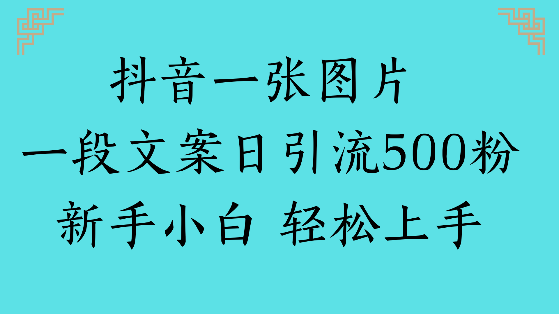 抖音一张图片 一段文案日引流500粉新手小白 轻松上手-千图副业网