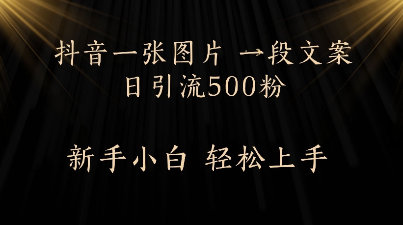 抖音一张图片，一段文案日引流500粉，新手小白 轻松上手-千图副业网