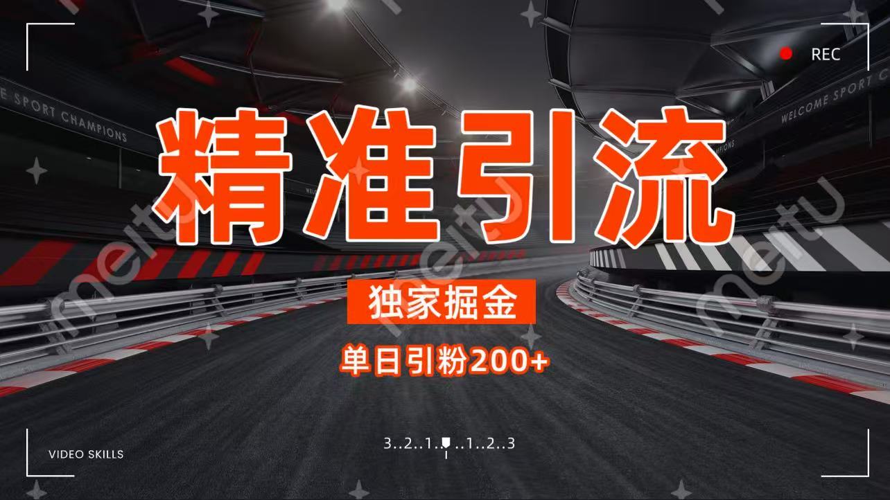 独家野路子精准引流 每日200+-千图副业网