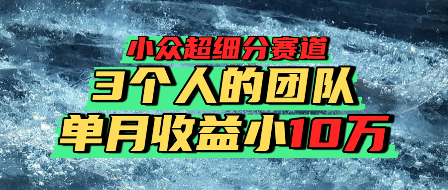 小众超细分赛道，一年百万利润的盘子！-千图副业网
